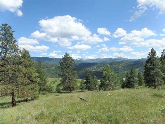 20 Shade Tree Road Republic, WA 99166 - Photo 12 of 19