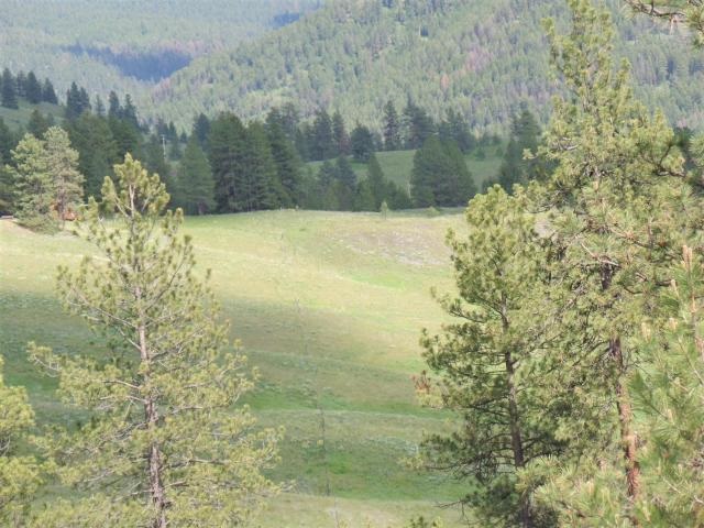 20 Shade Tree Road Republic, WA 99166 - Photo 13 of 19