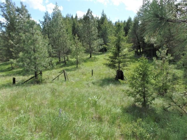 20 Shade Tree Road Republic, WA 99166 - Photo 14 of 19