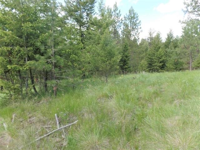 20 Shade Tree Road Republic, WA 99166 - Photo 15 of 19