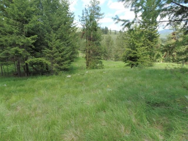 20 Shade Tree Road Republic, WA 99166 - Photo 16 of 19
