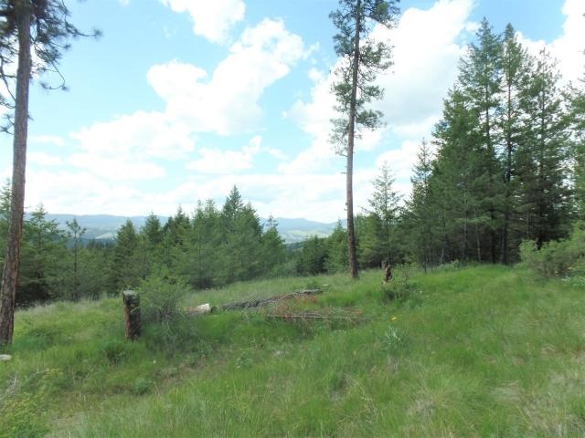 20 Shade Tree Road Republic, WA 99166 - Photo 17 of 19