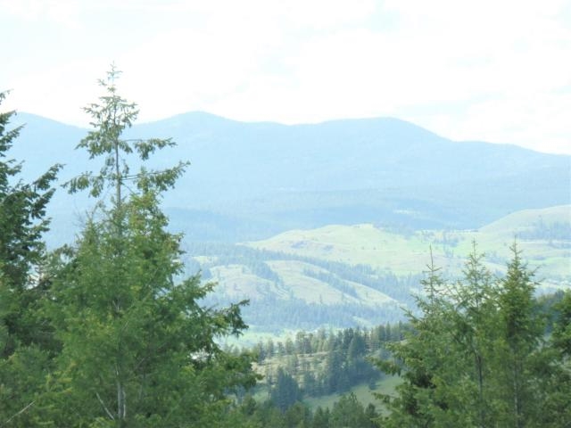 20 Shade Tree Road Republic, WA 99166 - Photo 18 of 19