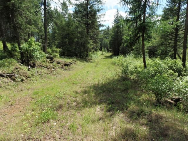20 Shade Tree Road Republic, WA 99166 - Photo 3 of 19