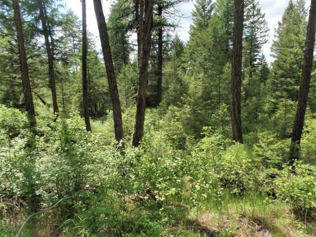 20 Shade Tree Road Republic, WA 99166 - Photo 4 of 19