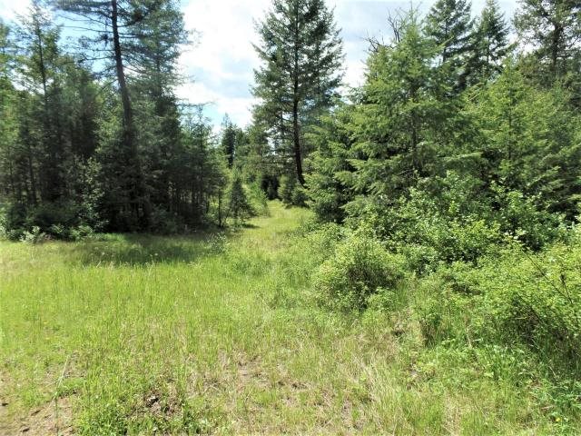 20 Shade Tree Road Republic, WA 99166 - Photo 5 of 19