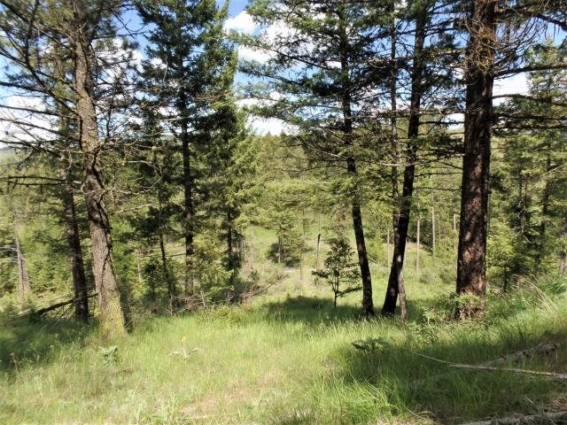 20 Shade Tree Road Republic, WA 99166 - Photo 6 of 19