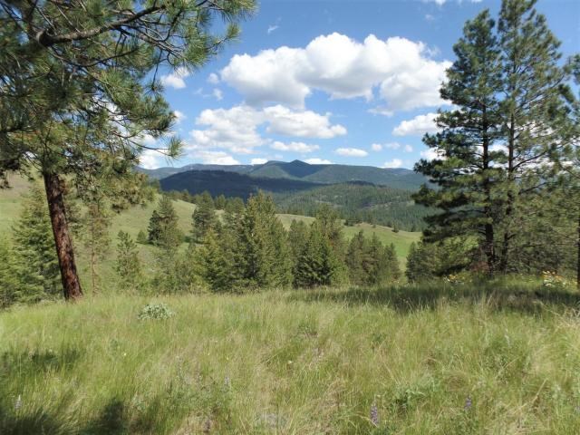 20 Shade Tree Road Republic, WA 99166 - Photo 7 of 19