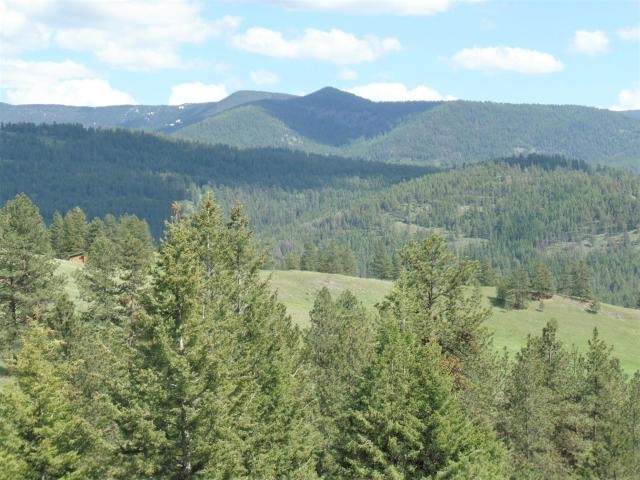20 Shade Tree Road Republic, WA 99166 - Photo 8 of 19