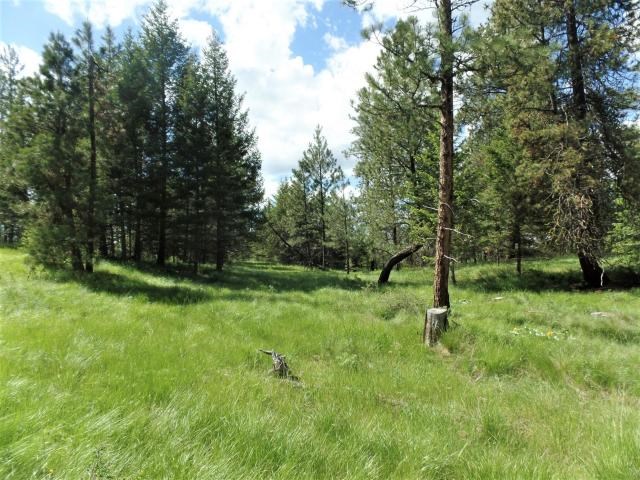 20 Shade Tree Road Republic, WA 99166 - Photo 9 of 19