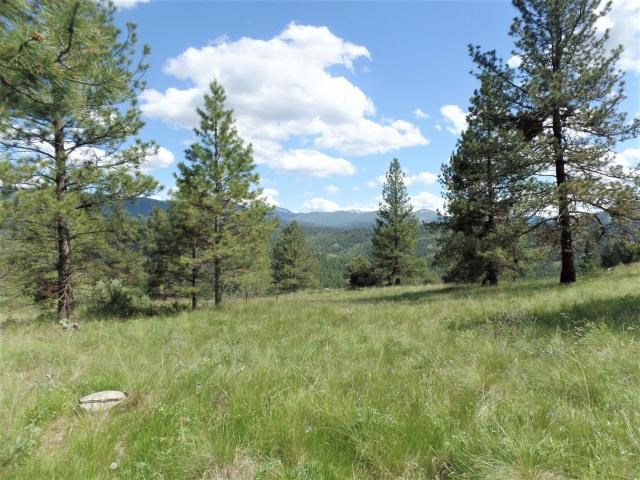 20 Shade Tree Road Republic, WA 99166 - Photo 10 of 19