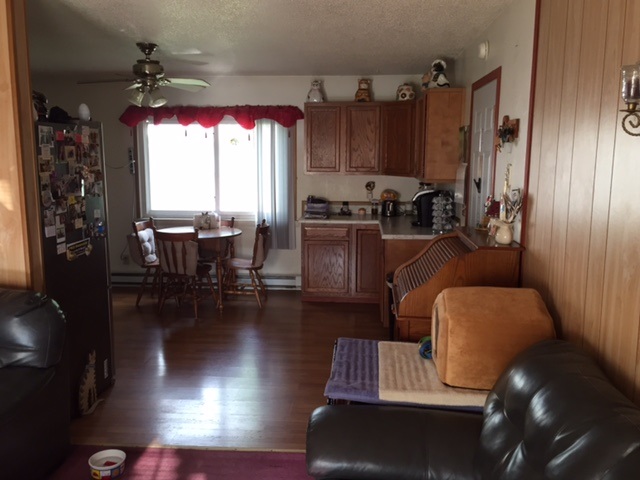 1428 Elm Street Rochester, IN 46975 - Photo 4 of 11 Gallery Image 4