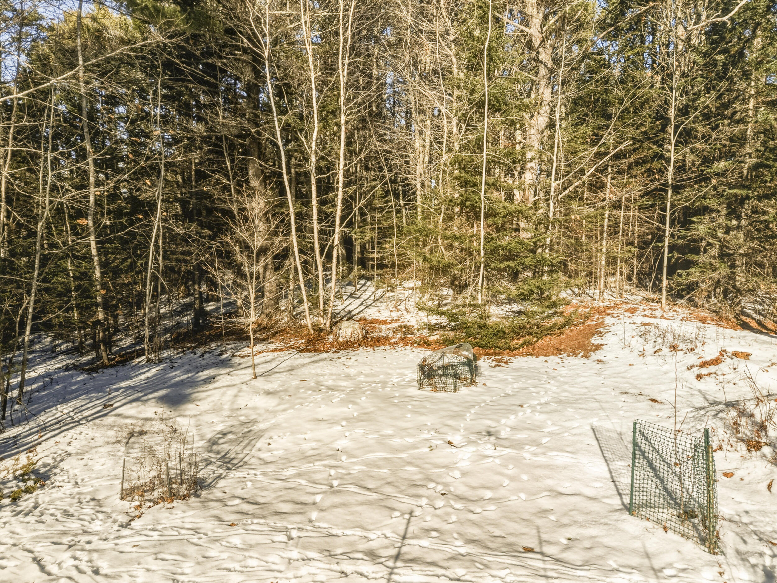 52 Birch Point Freeport, ME 04032 - Photo 31 of 40 61_52birchpoint-60