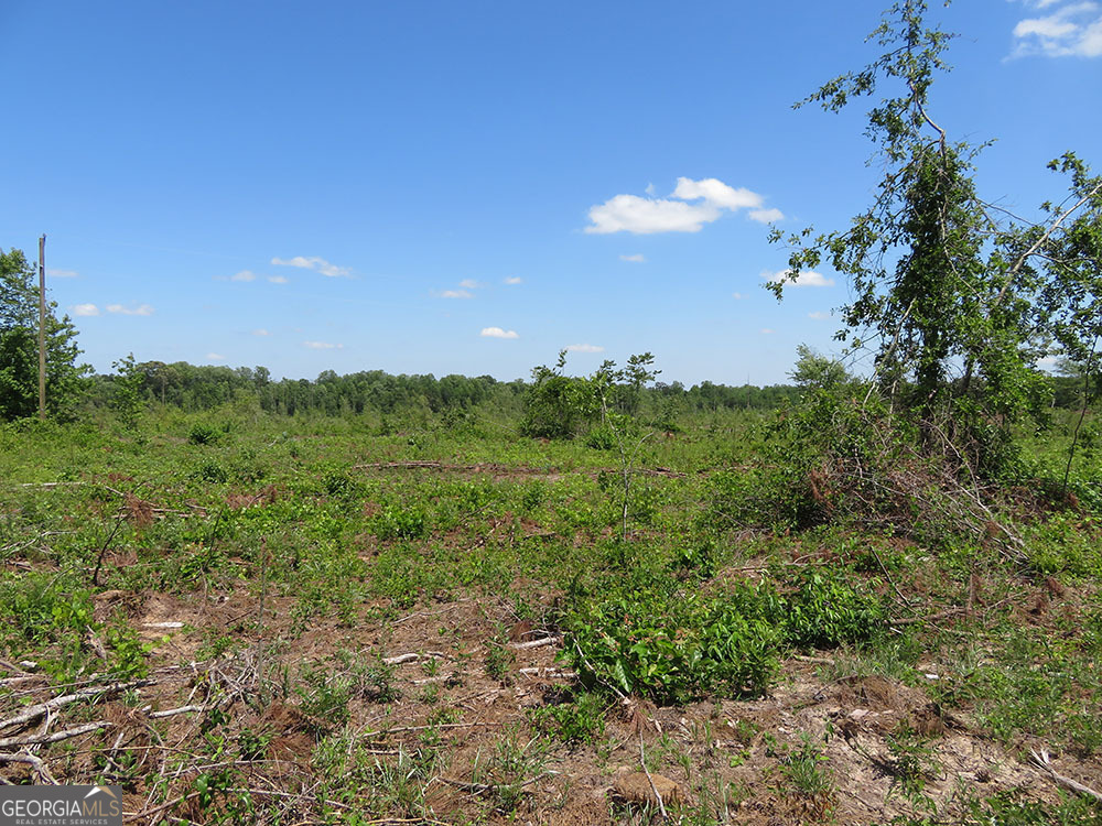 a view of a big yard with lots of green space and mountain view