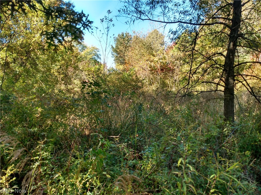 Cunningham Road Salem, OH 44460 - Photo 11 of 20