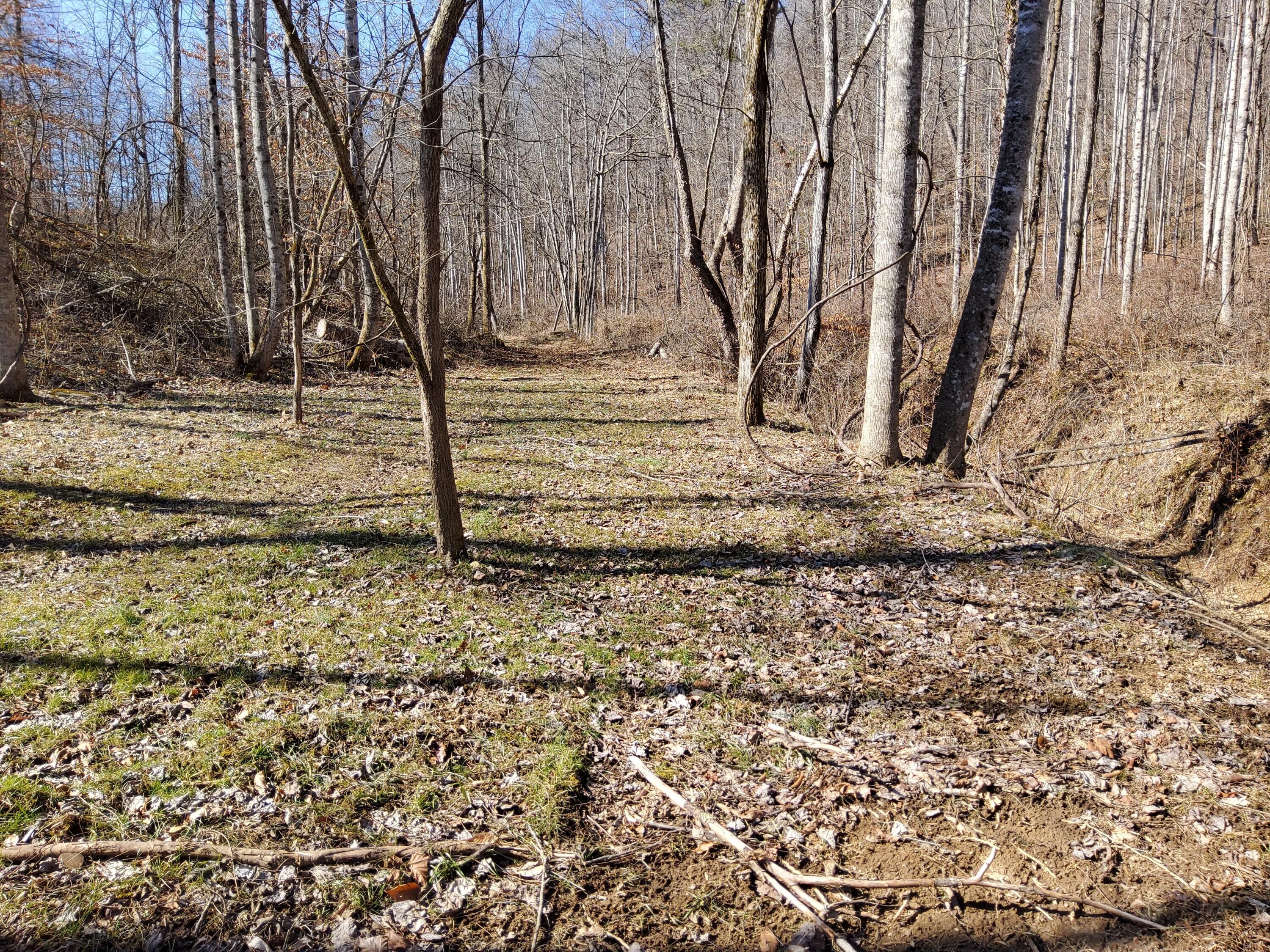 9999 Reynolds Road McKee, KY 40447 - Photo 22 of 30 20220213_131414