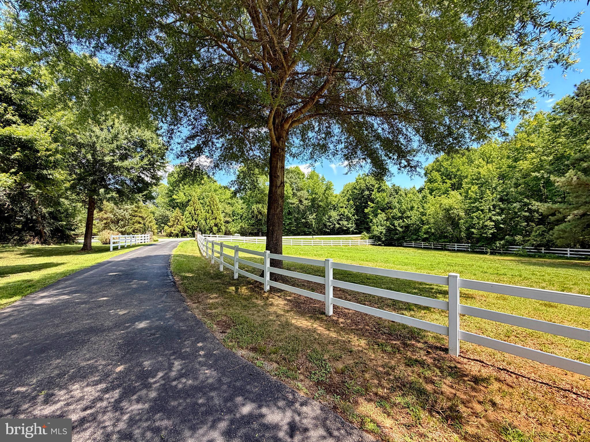 13655 Waverly Point Road Newburg, MD 20664 - Photo 4 of 6 View of Driveway