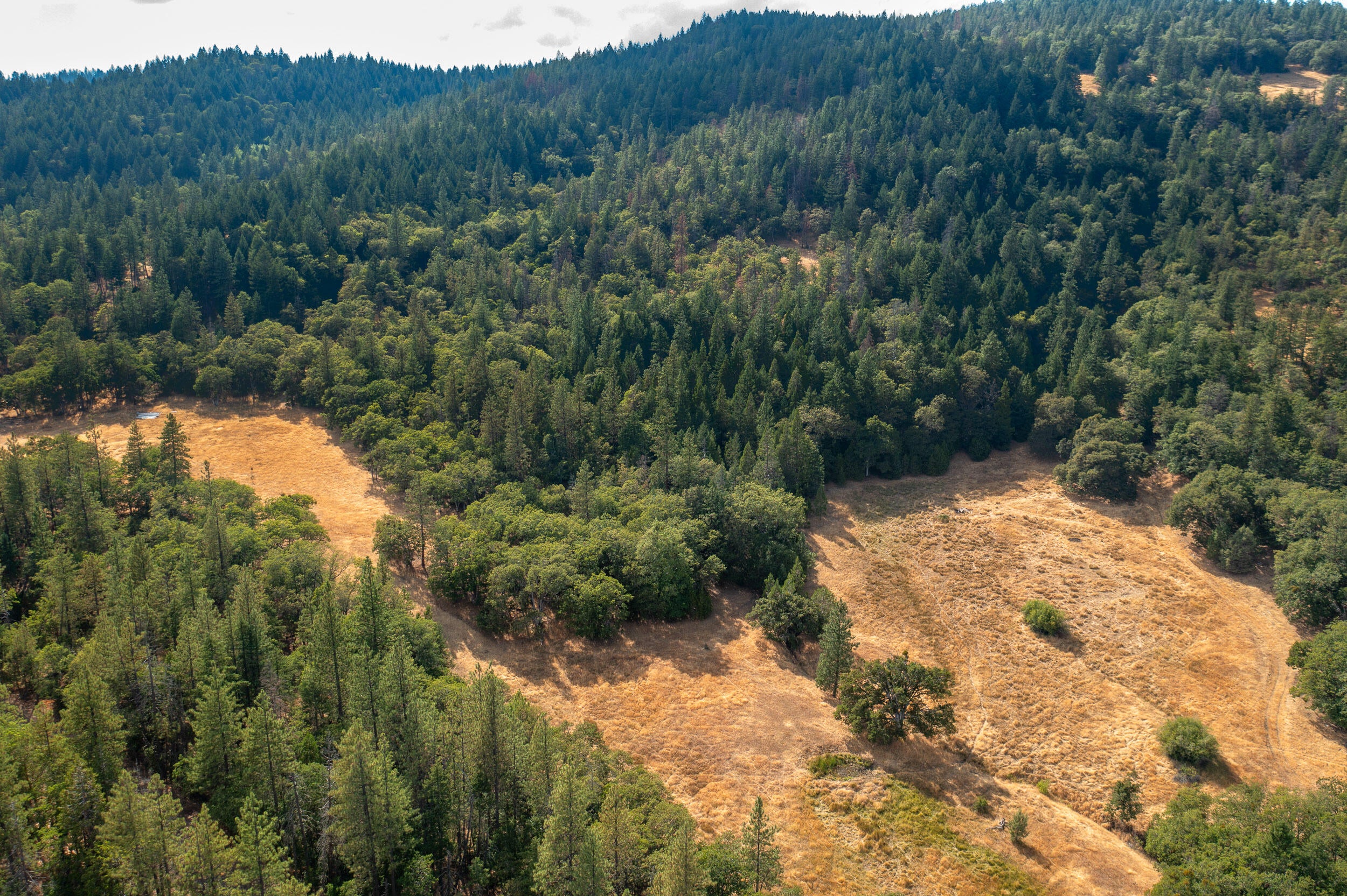 0 Buckhorn Springs Road Ashland, OR 97520 - Photo 15 of 39 Final (16)