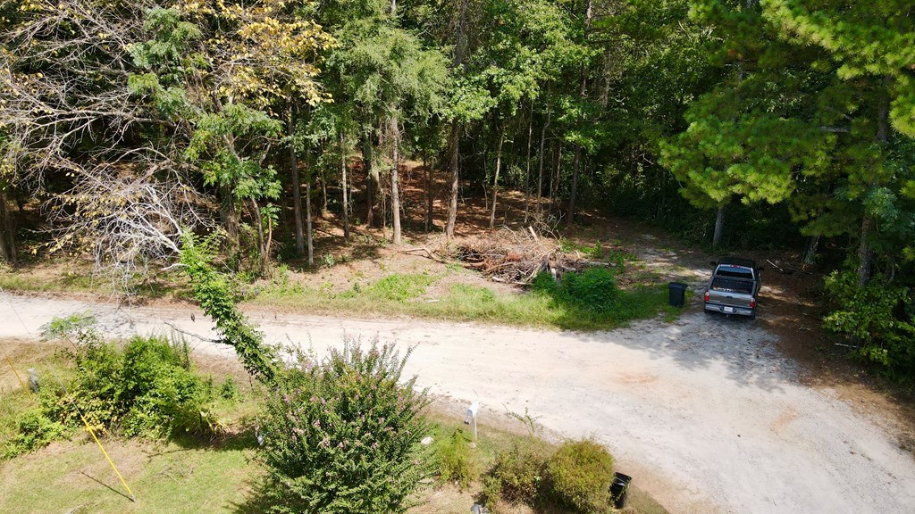 0 Graddick Road Hamilton, GA 31811 - Photo 3 of 20 Gallery Image 3