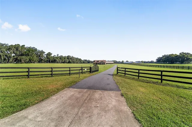 a view of a park with large trees