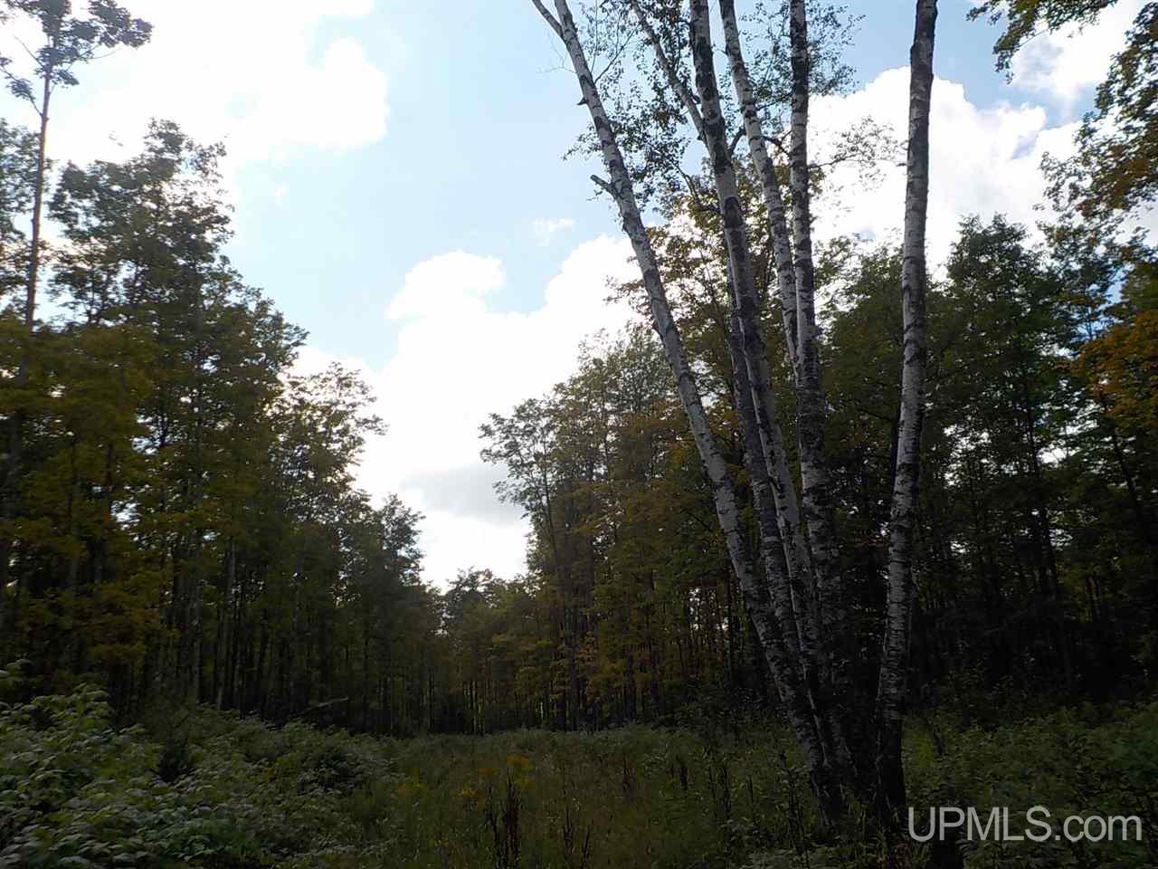 80-ac Mcclaren Road Crystal Falls, MI 49920 - Photo 15 of 27