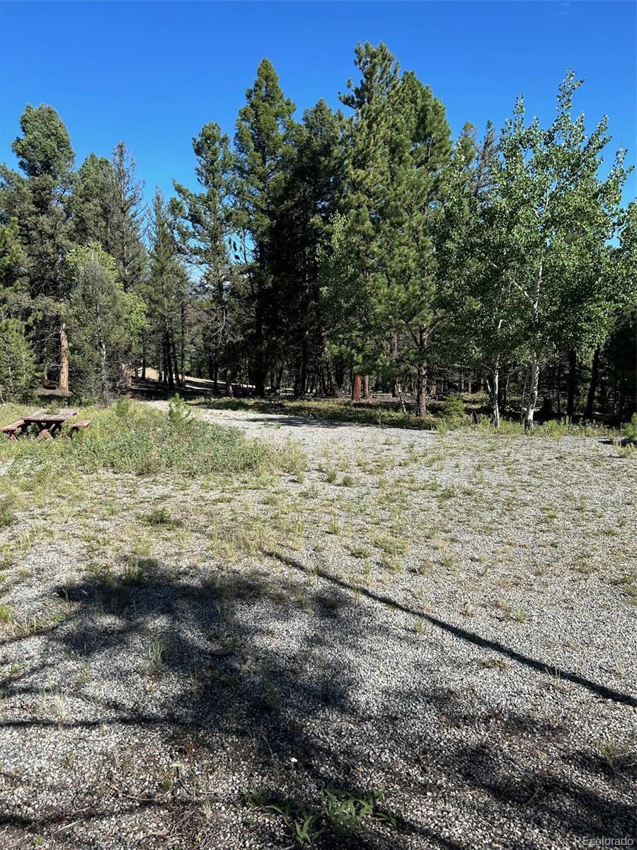 3882 Campfire Road Hartsel, CO 80449 - Photo 3 of 15 a view of a yard with trees