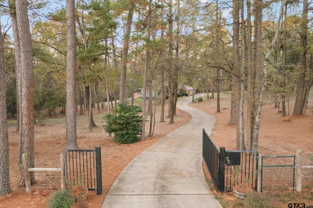 a view of a park with large trees