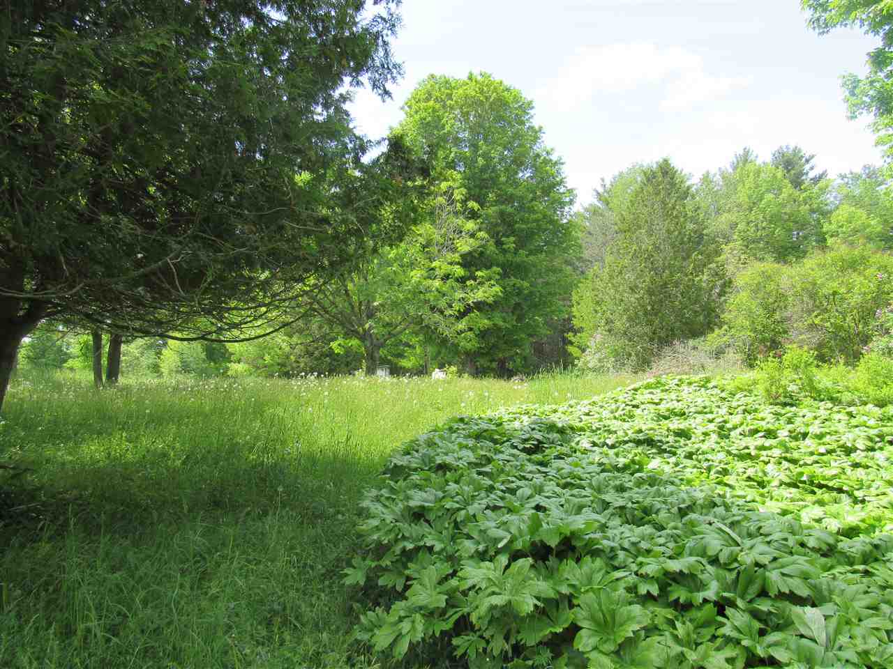 2390 North Craftsbury Road Craftsbury, VT 05827 - Photo 8 of 9