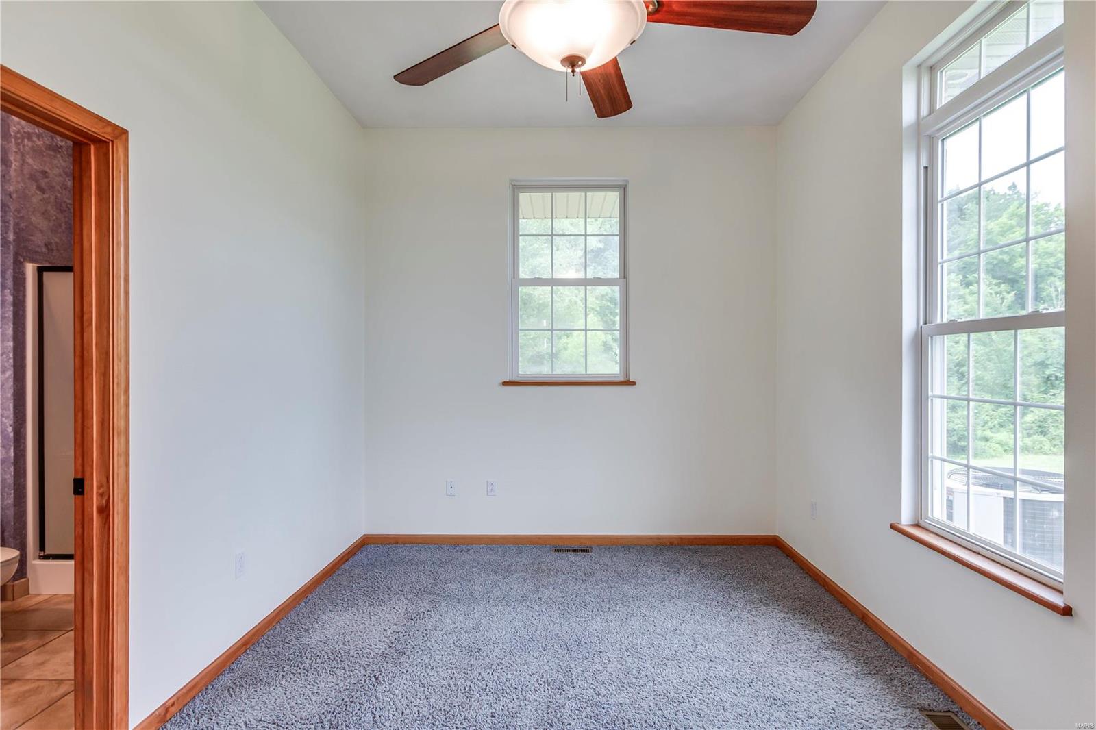 4659 Timber View Drive Waterloo, IL 62298 - Photo 18 of 38