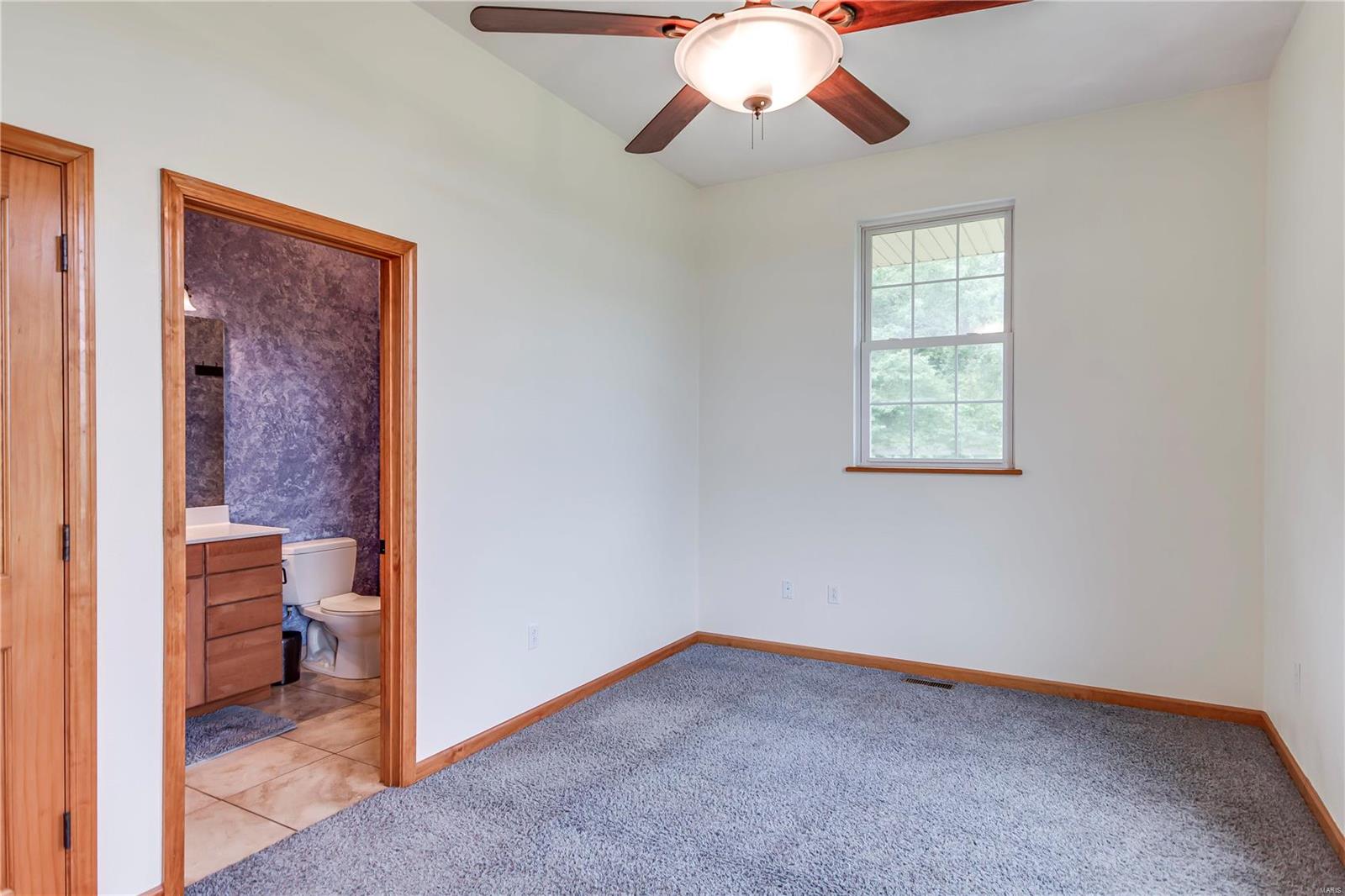4659 Timber View Drive Waterloo, IL 62298 - Photo 19 of 38