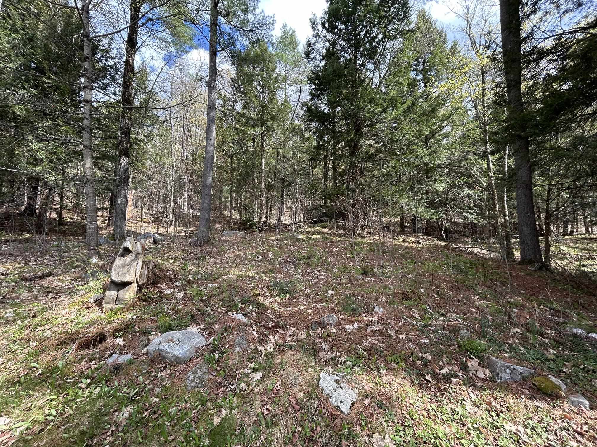 354 Shattuck Hill Road West Windsor, VT 05037 - Photo 23 of 28