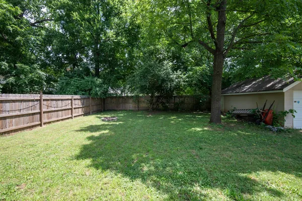 a view of backyard with potted plants and a large tree