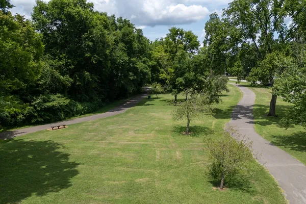 a view of a tree in a yard