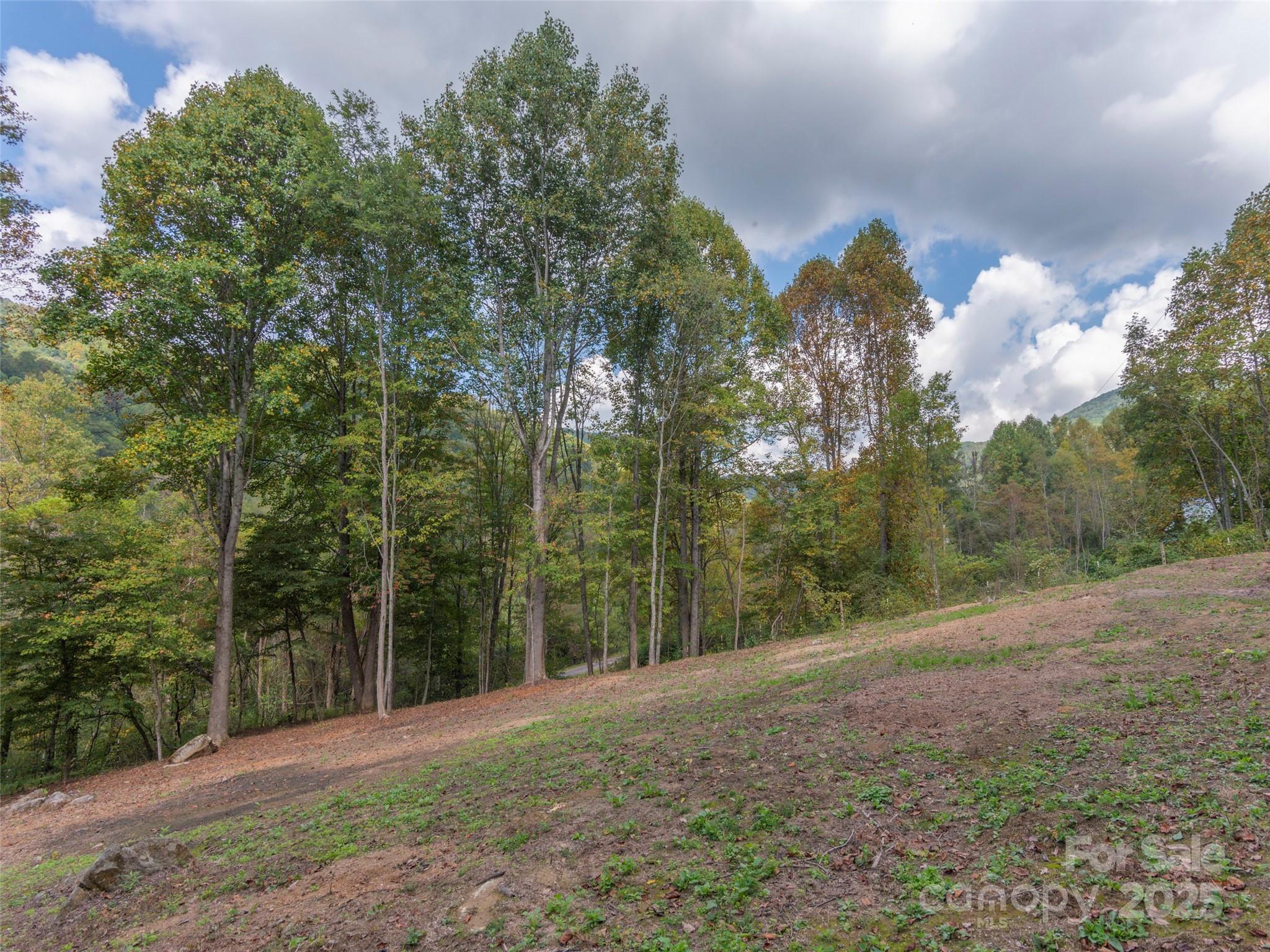 62 Sallys Branch Road Clyde, NC 28721 - Photo 26 of 30