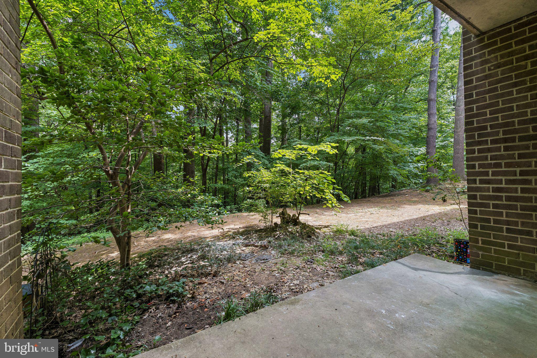 1554-1a Northgate Square, Unit 1A Reston, VA 20190 - Photo 24 of 25 Gallery Image 24