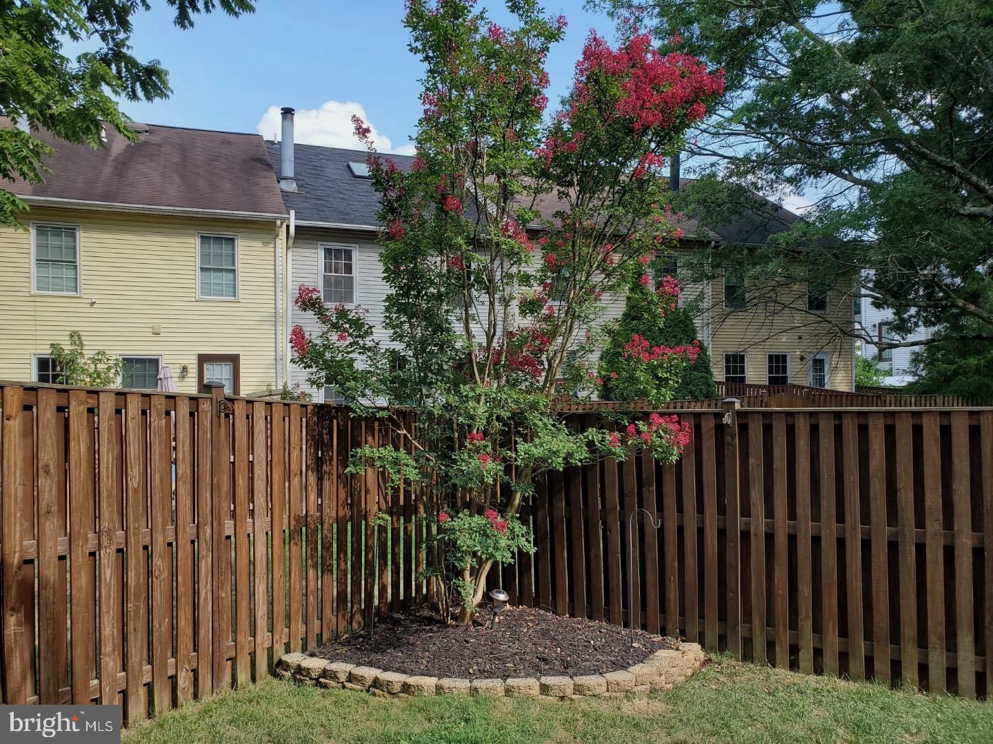 6047 Knights Ridge Way Alexandria, VA 22310 - Photo 23 of 33 Myrtle Crape