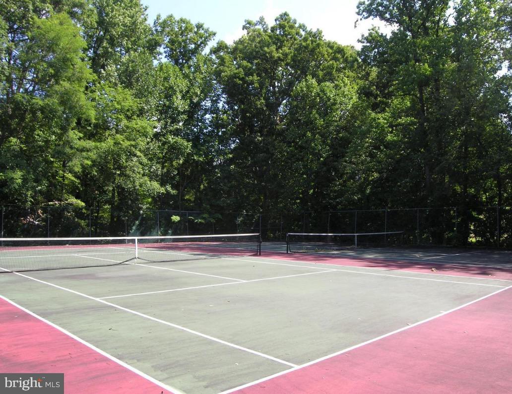 6047 Knights Ridge Way Alexandria, VA 22310 - Photo 24 of 33 Tennis Courts!