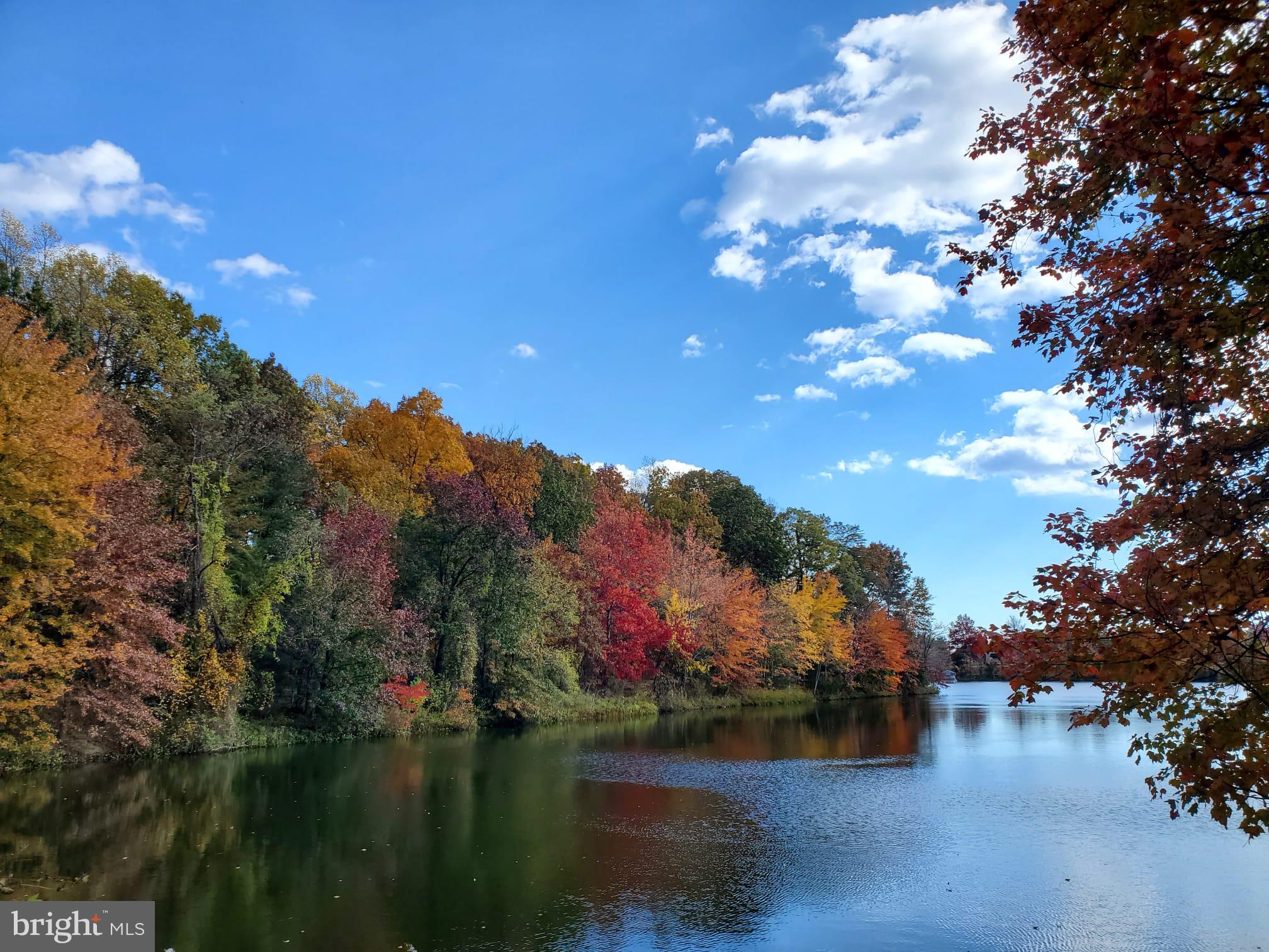 6047 Knights Ridge Way Alexandria, VA 22310 - Photo 28 of 33 Fall! Nearby Pond with Hiking Trail