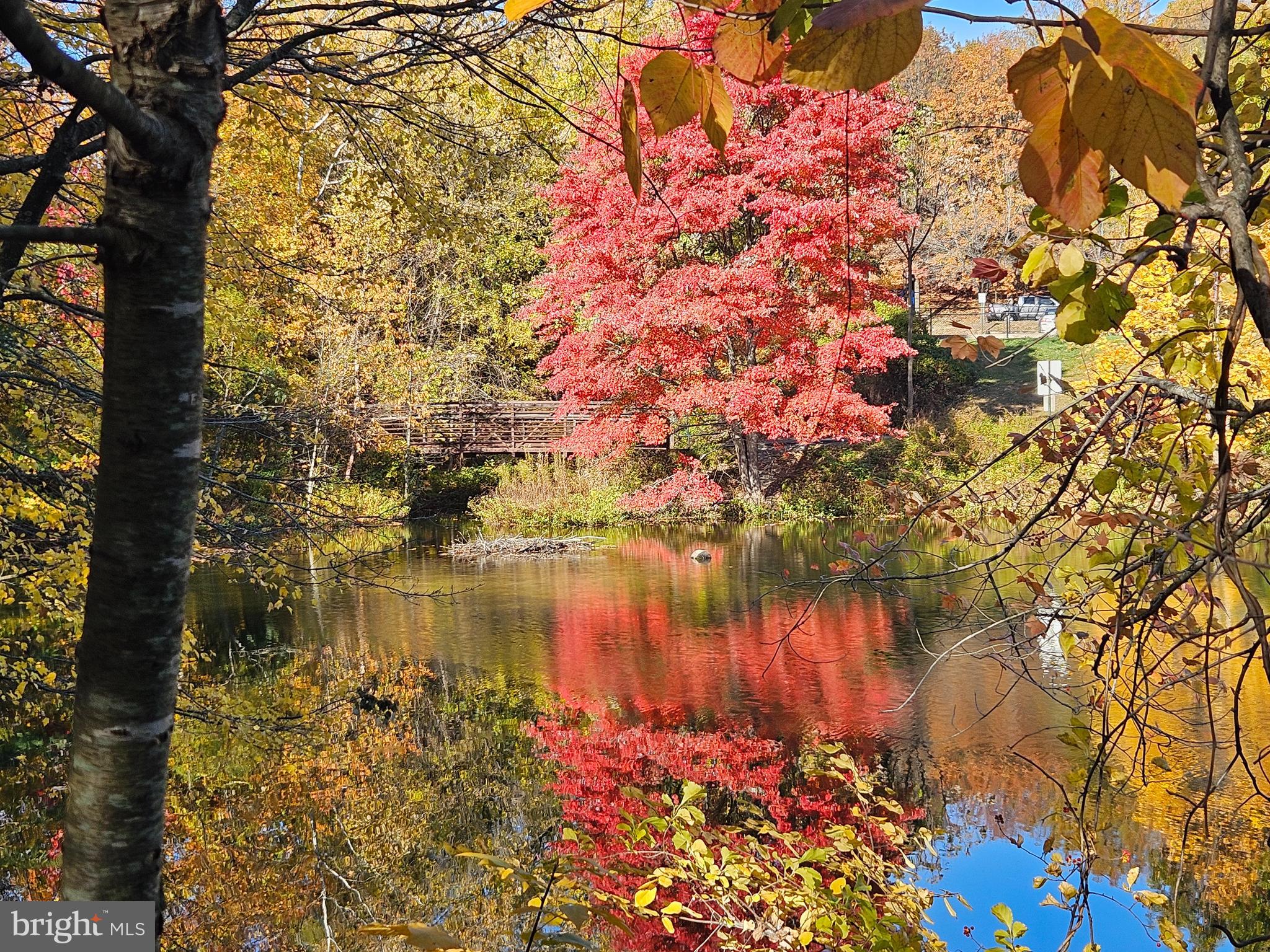 6047 Knights Ridge Way Alexandria, VA 22310 - Photo 29 of 33 Fall Nearby Hiking Trail