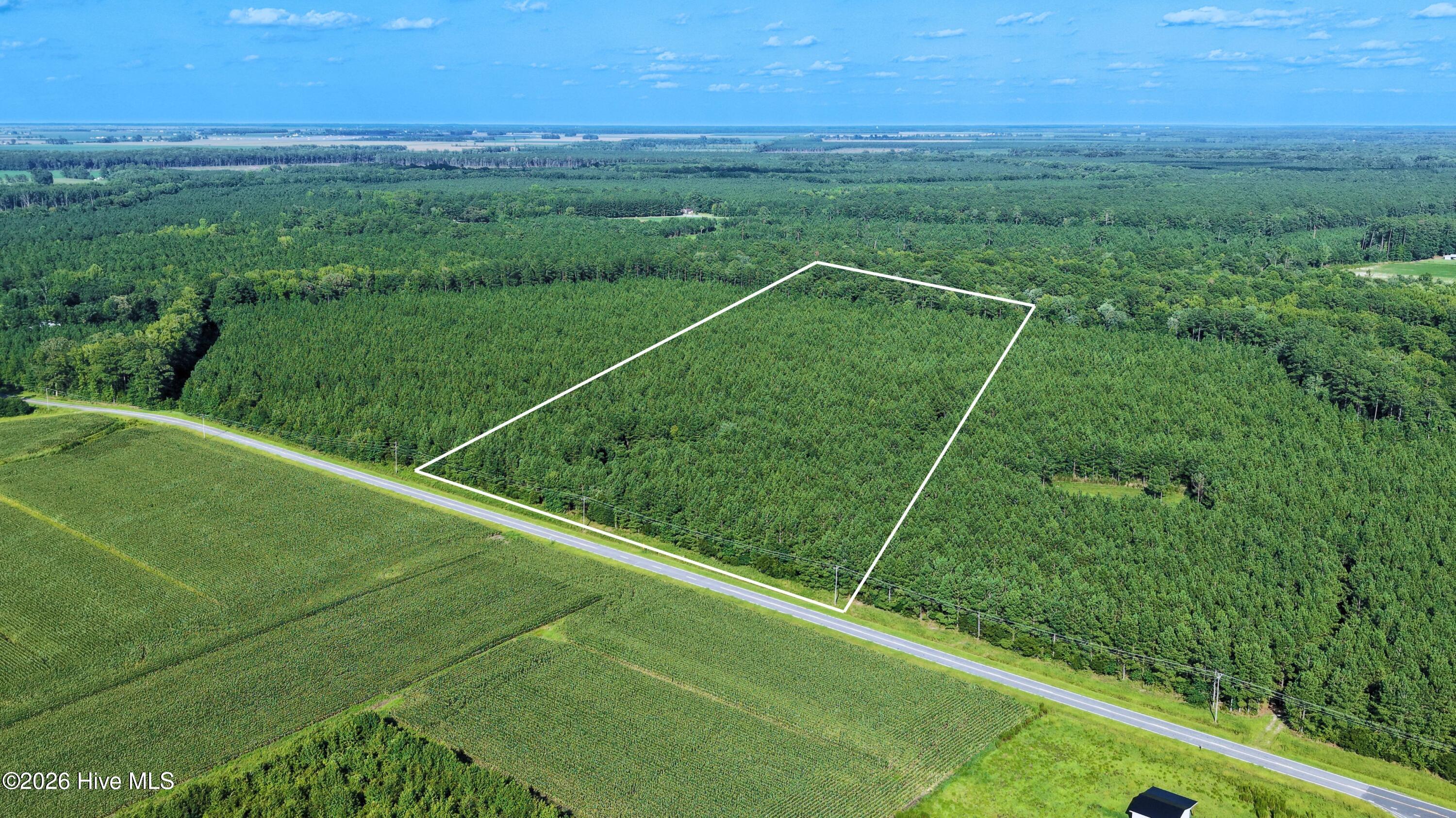 999 Boyd Swamp Road Pinetown, NC 27865 - Photo 1 of 13 Gallery Image 1
