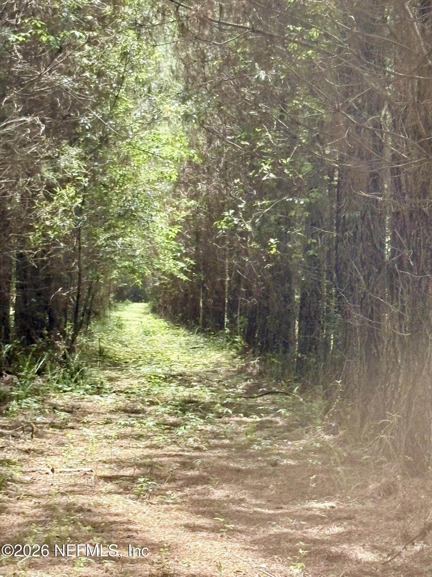 3500 Northeast Rocky Ford Road Pinetta, FL 32350 - Photo 13 of 14 a view of a outdoor space
