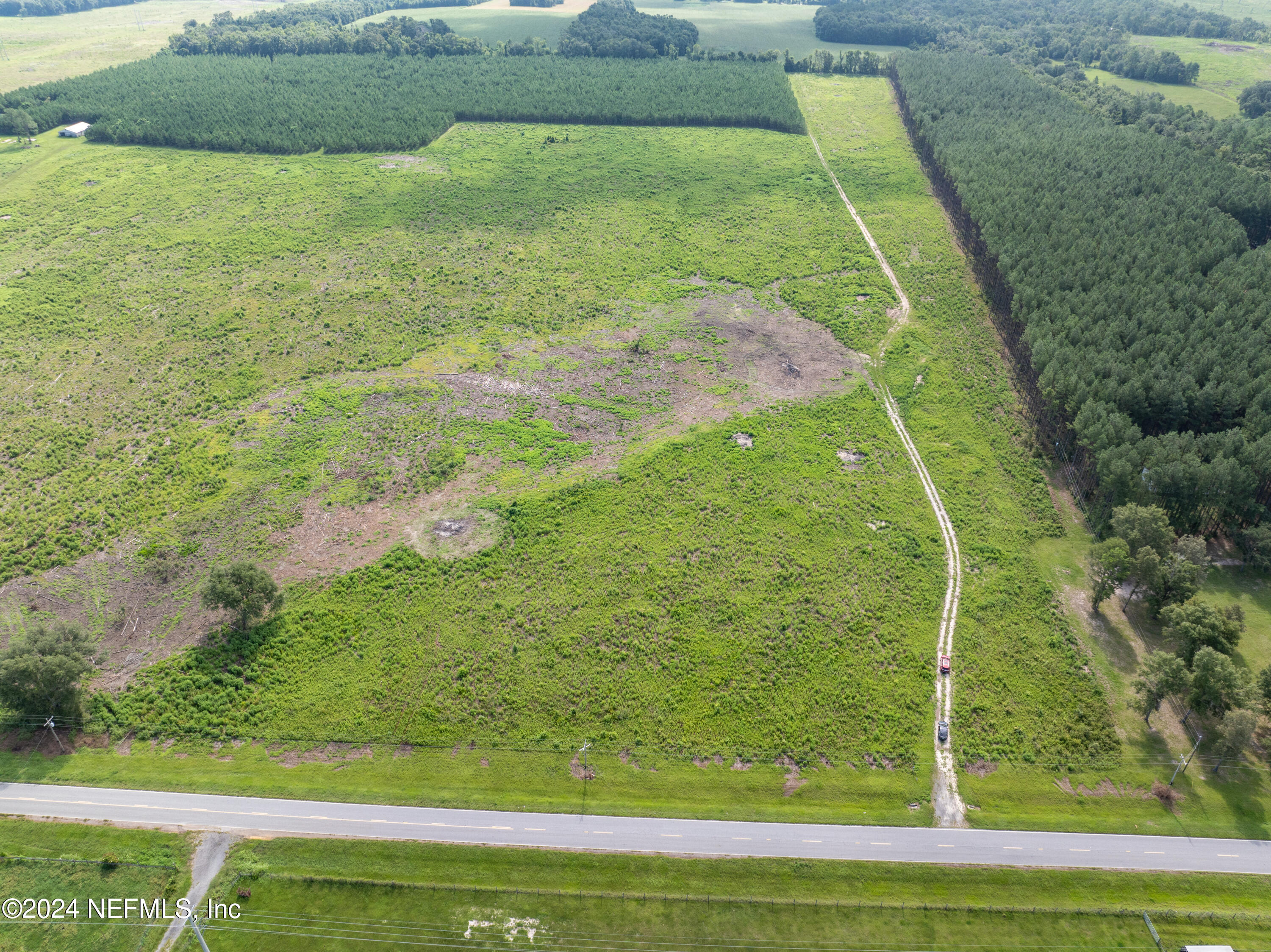 3500 Northeast Rocky Ford Road Pinetta, FL 32350 - Photo 2 of 14 a view of a yard