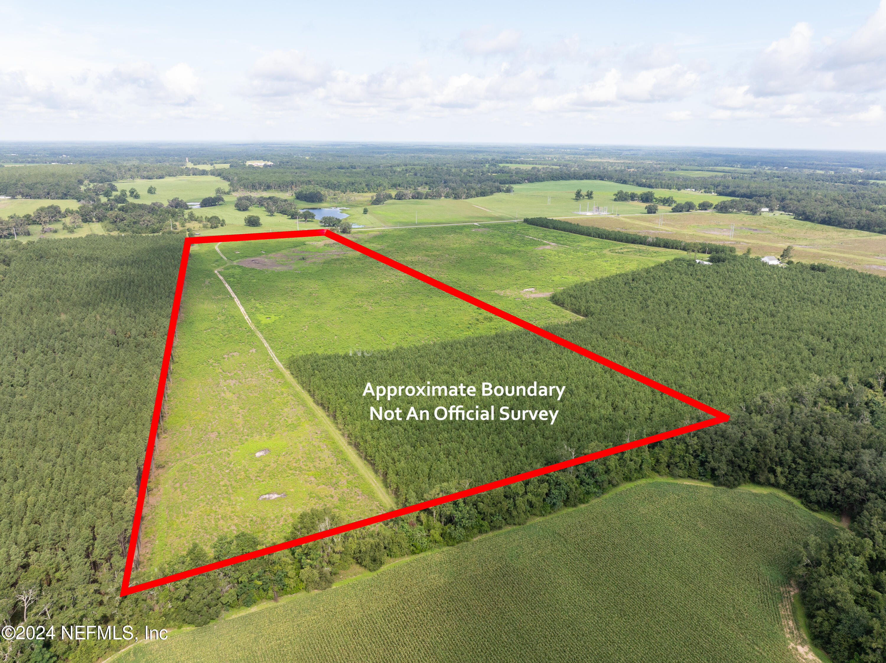 3500 Northeast Rocky Ford Road Pinetta, FL 32350 - Photo 2 of 10