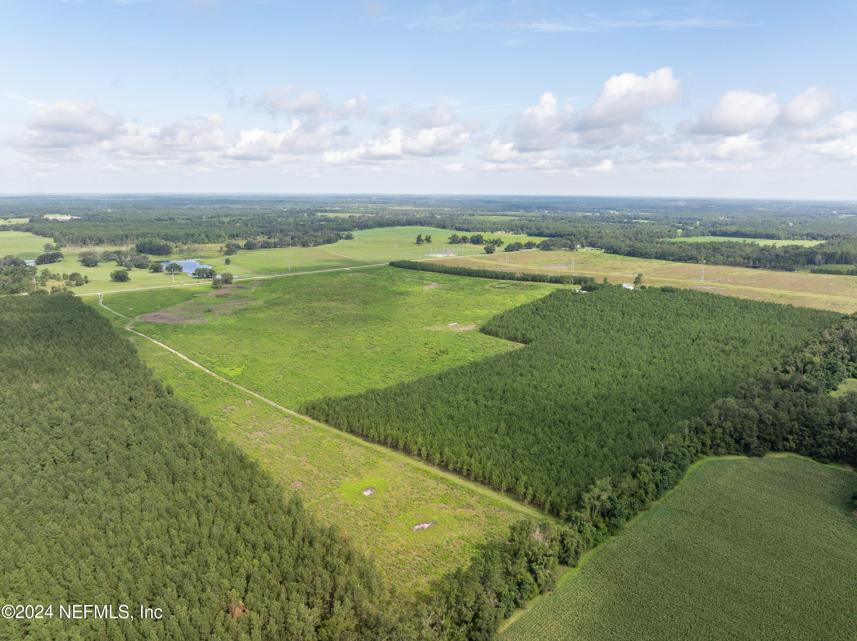 3500 Northeast Rocky Ford Road Pinetta, FL 32350 - Photo 3 of 10