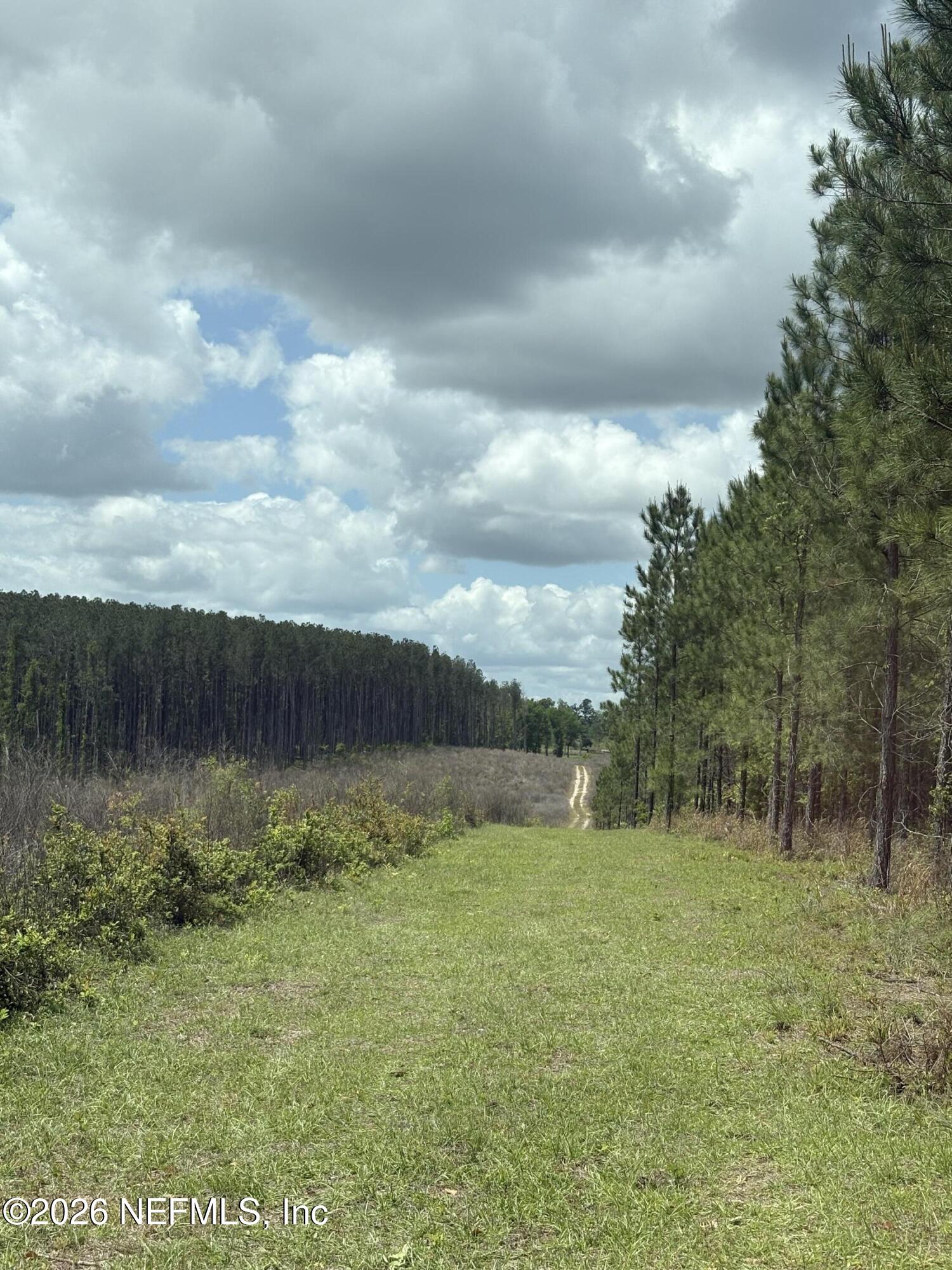 3500 Northeast Rocky Ford Road Pinetta, FL 32350 - Photo 4 of 14 a view of a garden