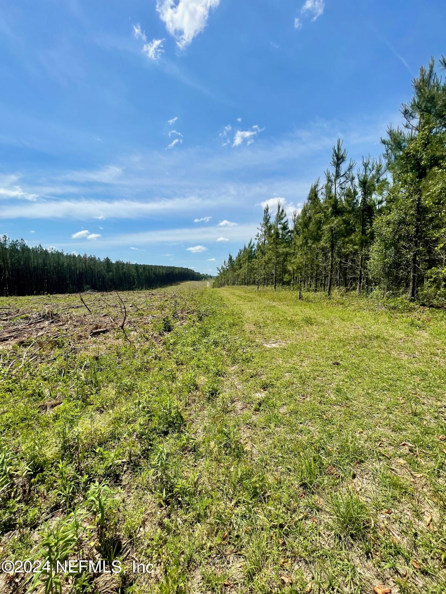 3500 Northeast Rocky Ford Road Pinetta, FL 32350 - Photo 7 of 10 a view of a lake with a yard
