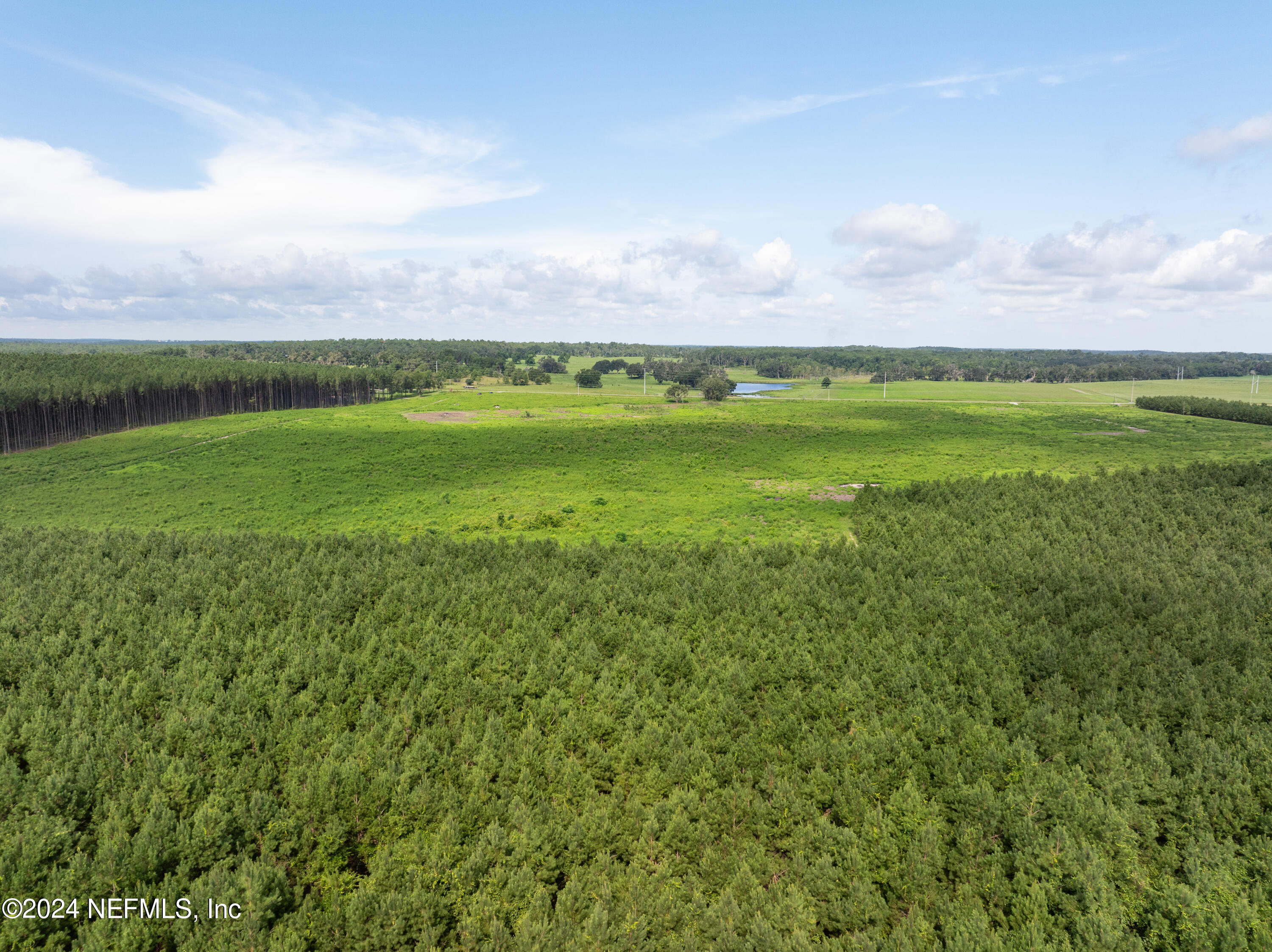 3500 Northeast Rocky Ford Road Pinetta, FL 32350 - Photo 8 of 14