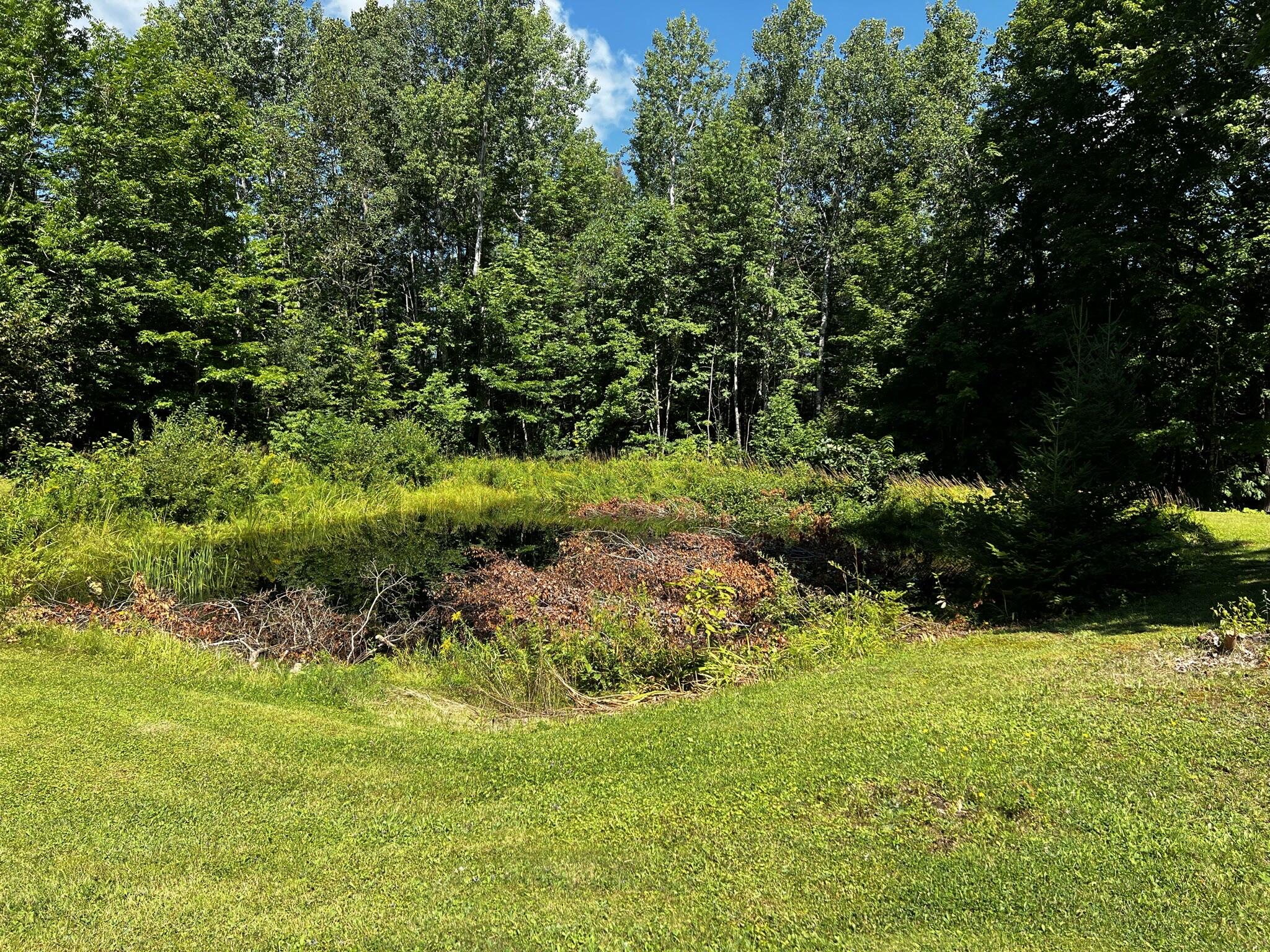 464 Skedgell Road Orient, ME 04471 - Photo 27 of 34 IMG_6599
