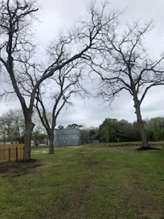 a view of outdoor space with green field and trees all around