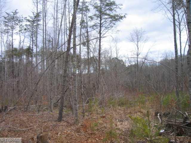 1108 Jesse Knight Road Sandy Ridge, NC 27046 - Photo 13 of 16 Other.